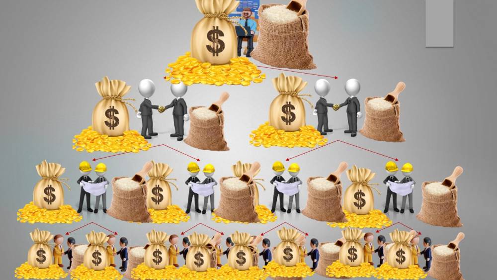 🌾 آینده در بازاریابی شالی‌گستر عطراگین