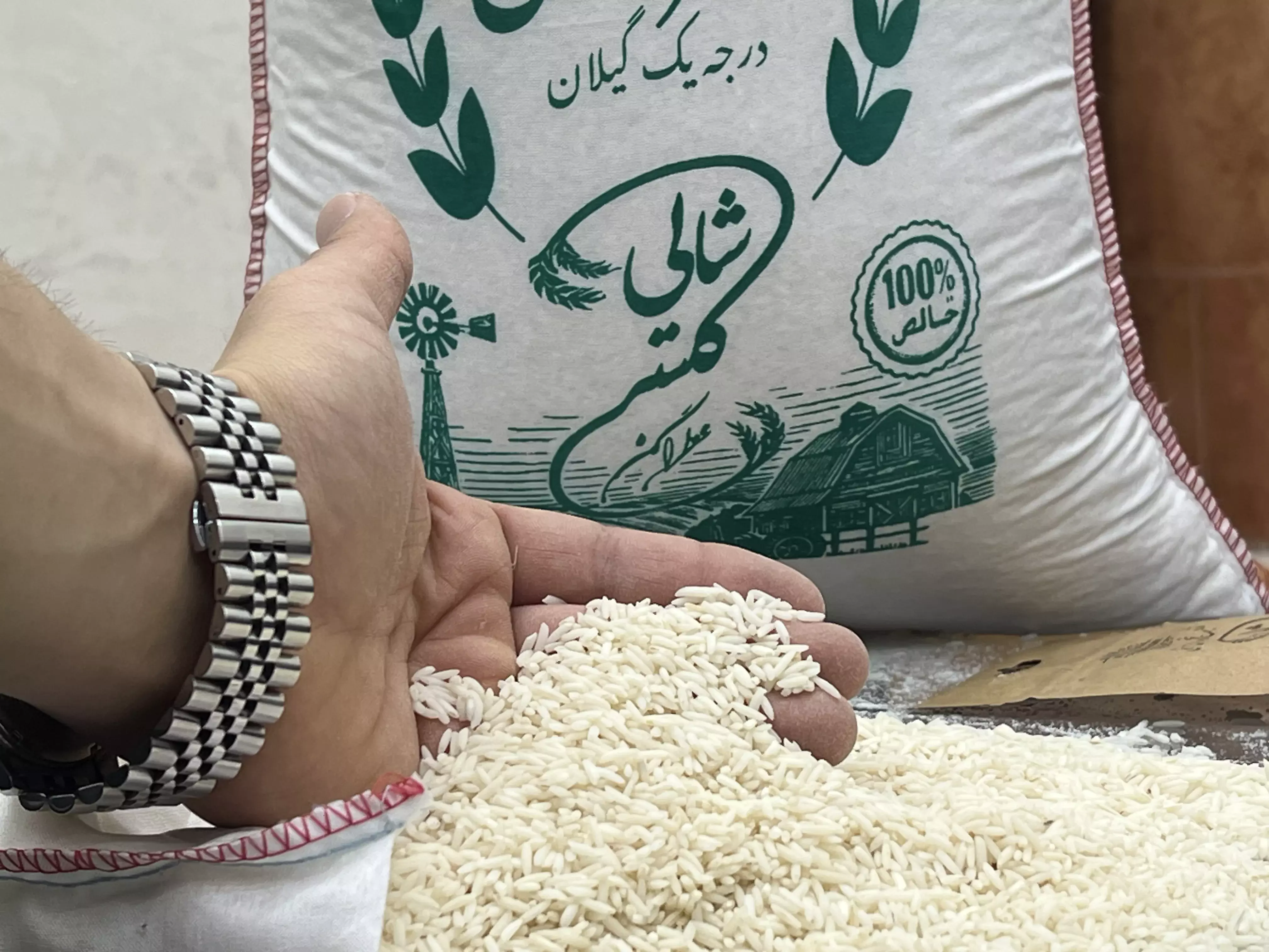 خرید برنج شیرودی درجه یک گیلان- قیمت امروز