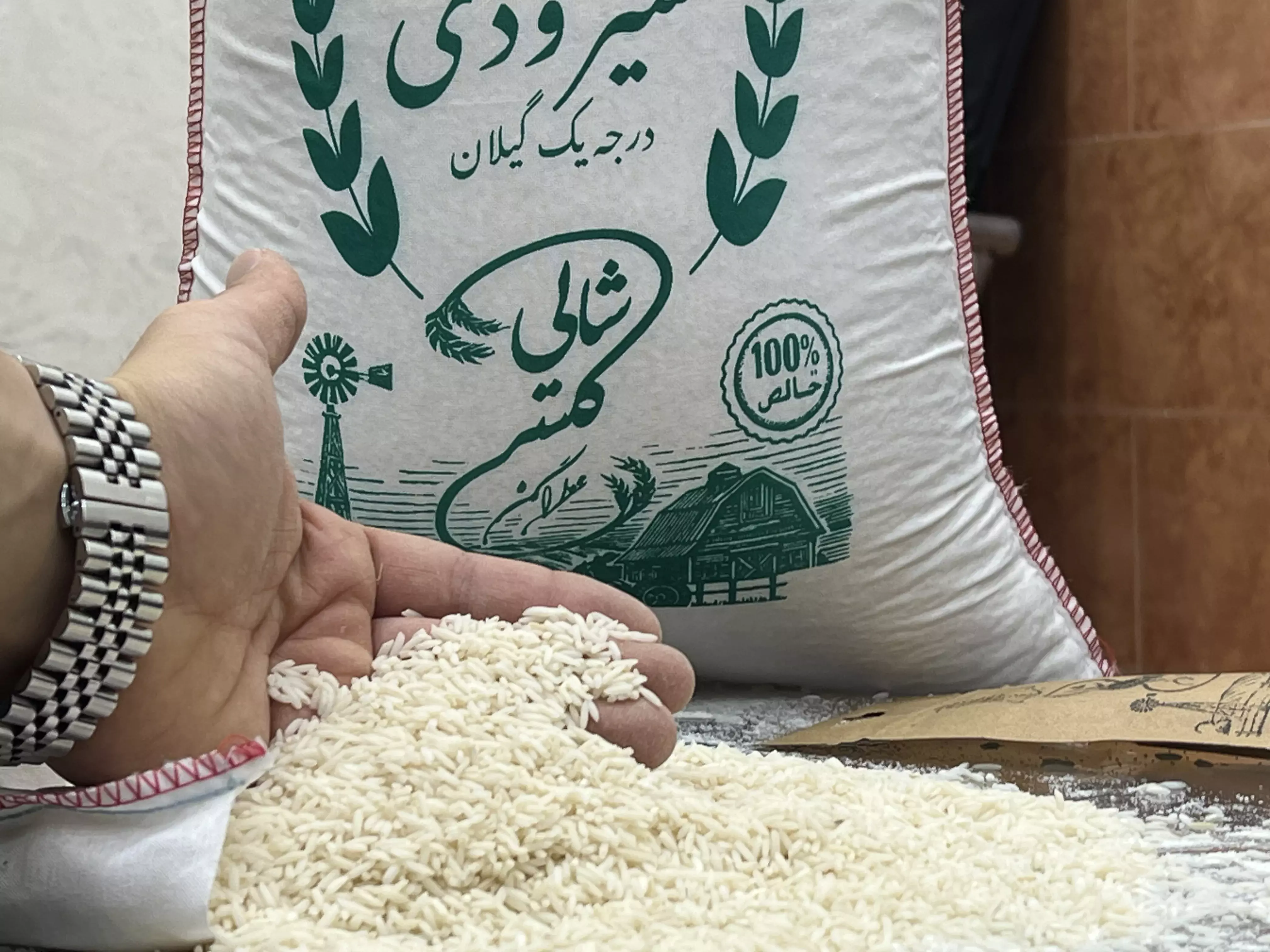 خرید برنج معطر شیرودی گیلان - قیمت امروز