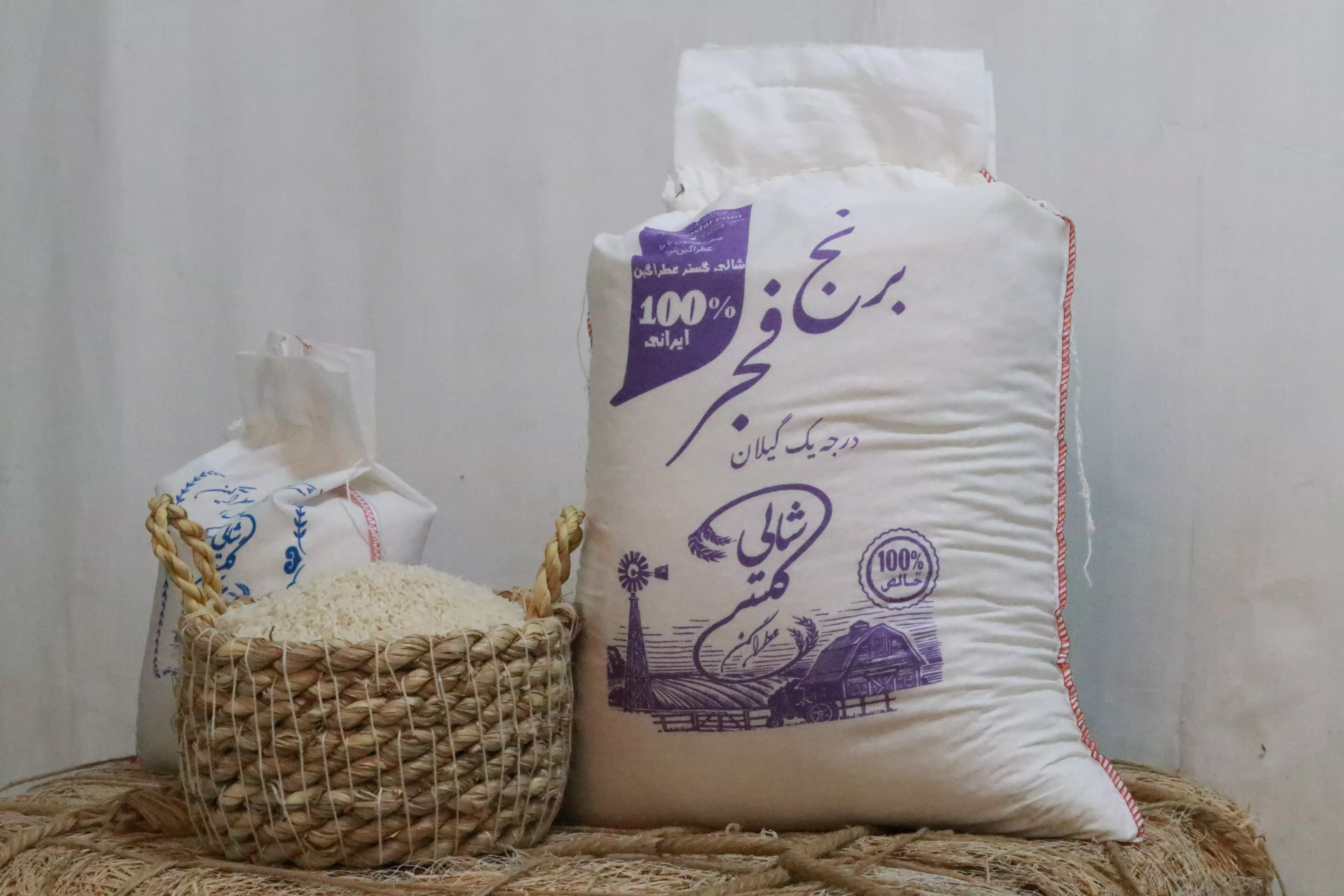 برنج فجر گیلان