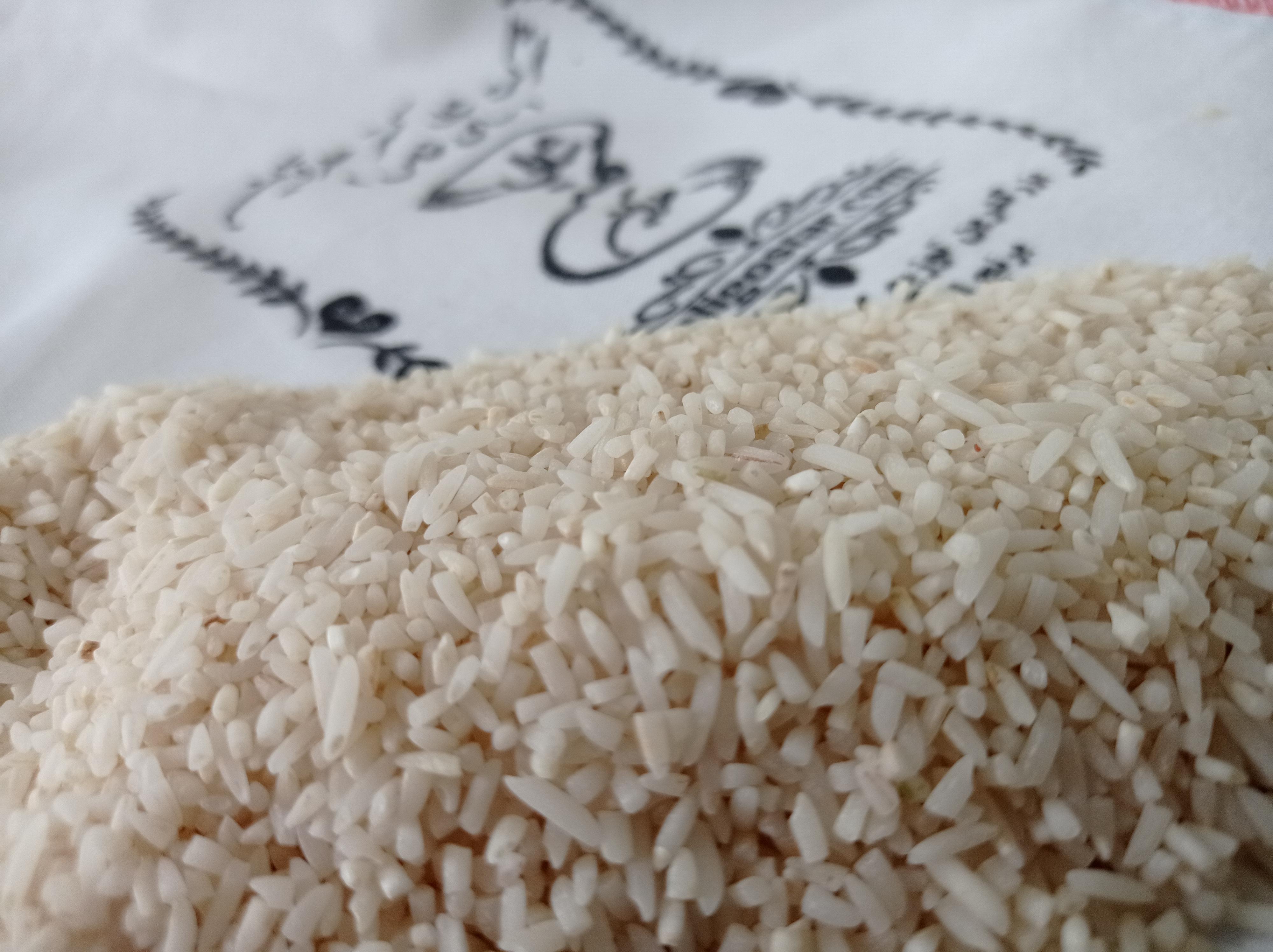 خرید برنج لاشه هاشمی گیلان -قیمت امروز