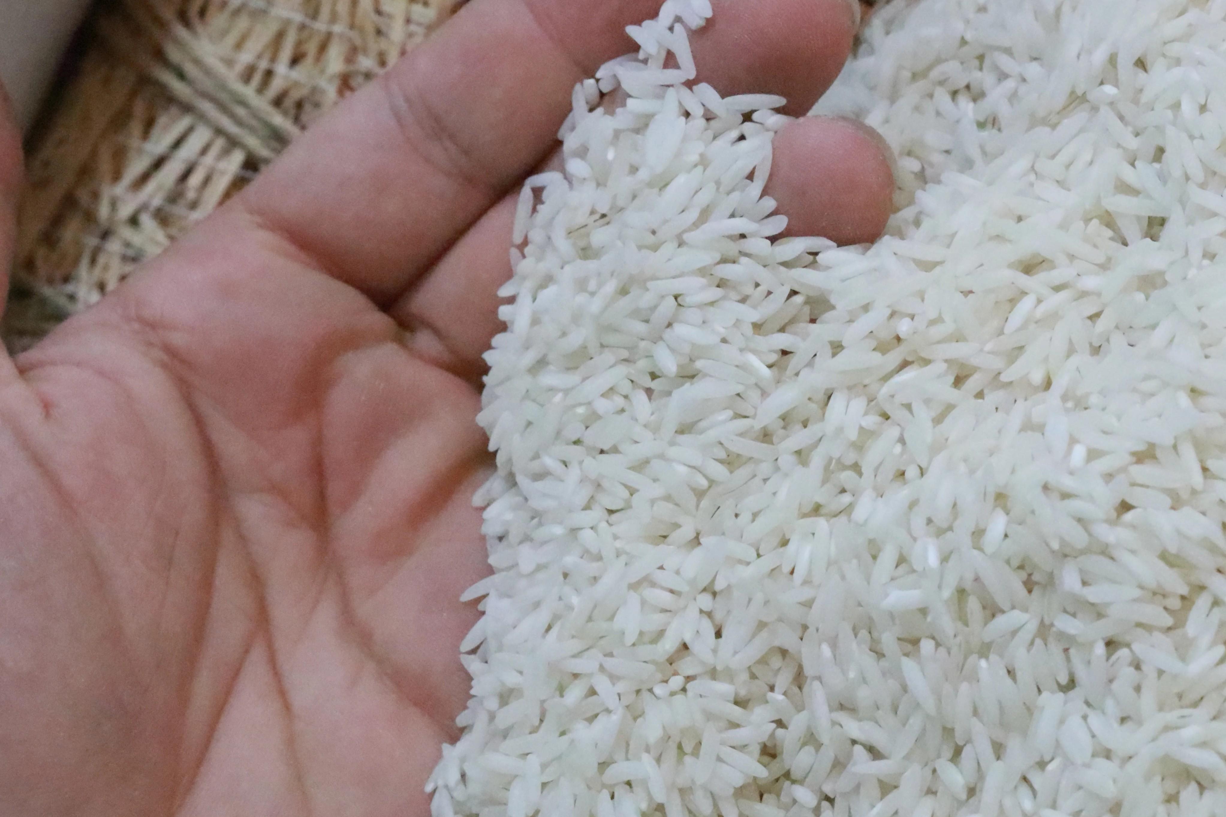 خرید برنج فجر درجه ی یک - قیمت امروز