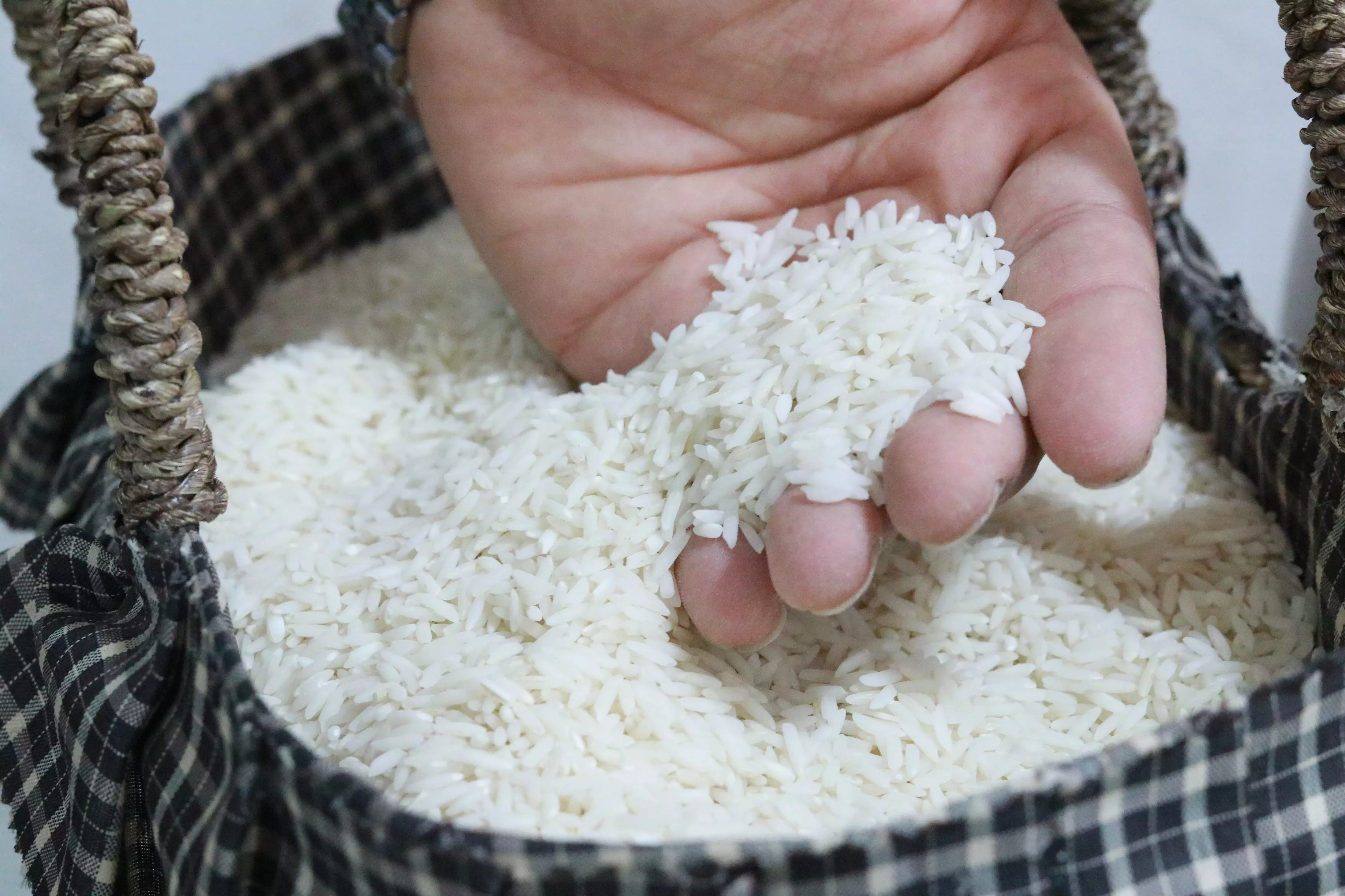 خرید برنج هاشمی درجه یک گیلان- قیمت امروز