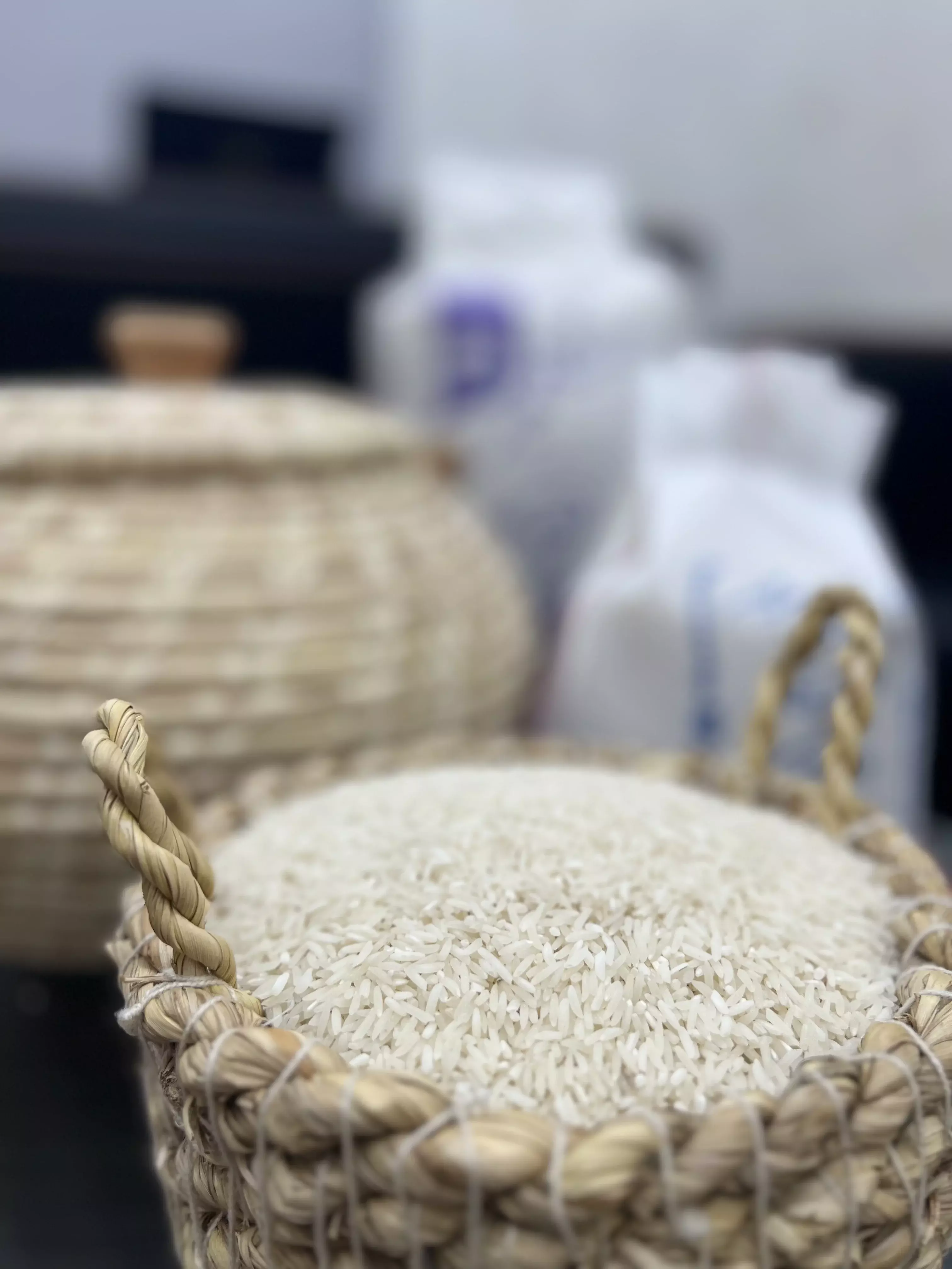 برنج فجر گیلان