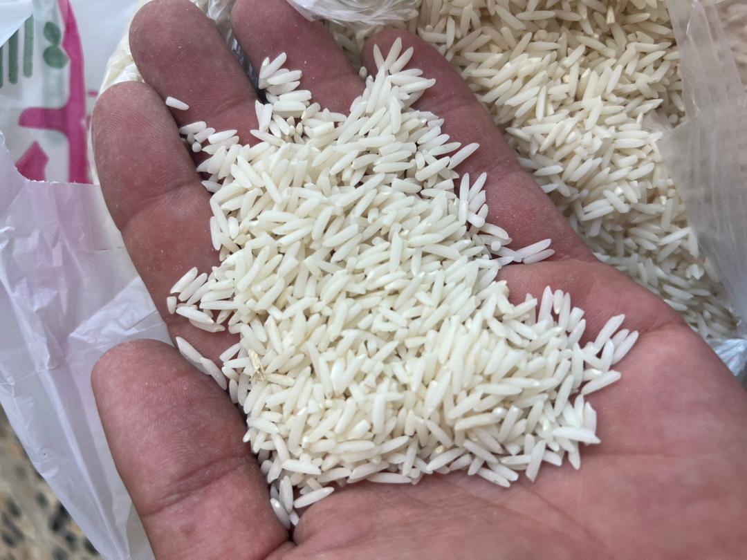 خرید برنج دم سیاه درجه یک گیلان - قیمت امروز