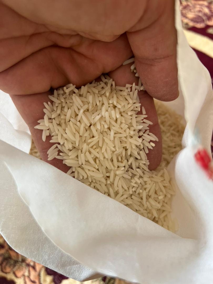 خرید برنج دم سیاه درجه یک گیلان - قیمت امروز