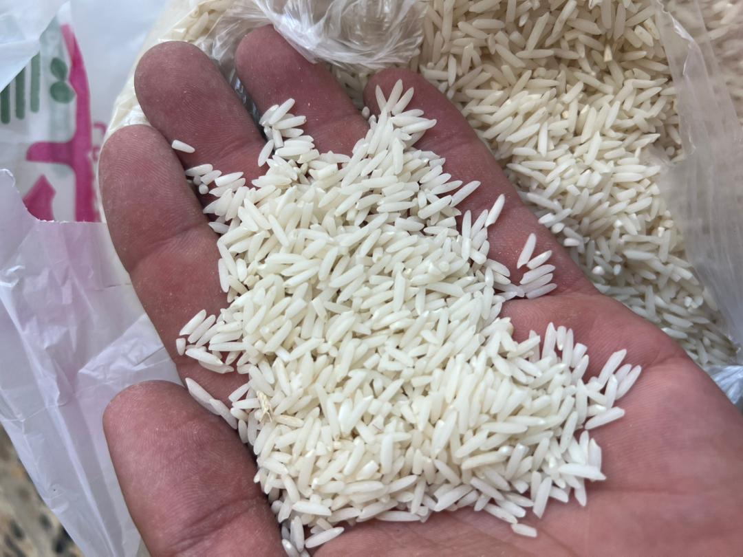 خرید برنج دم سیاه درجه یک گیلان - قیمت امروز